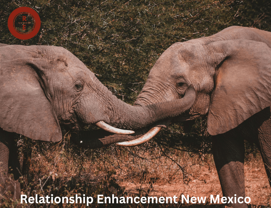 Enhancing Relationships in New Mexico: The Benefits of Couples&nbsp;Counseling